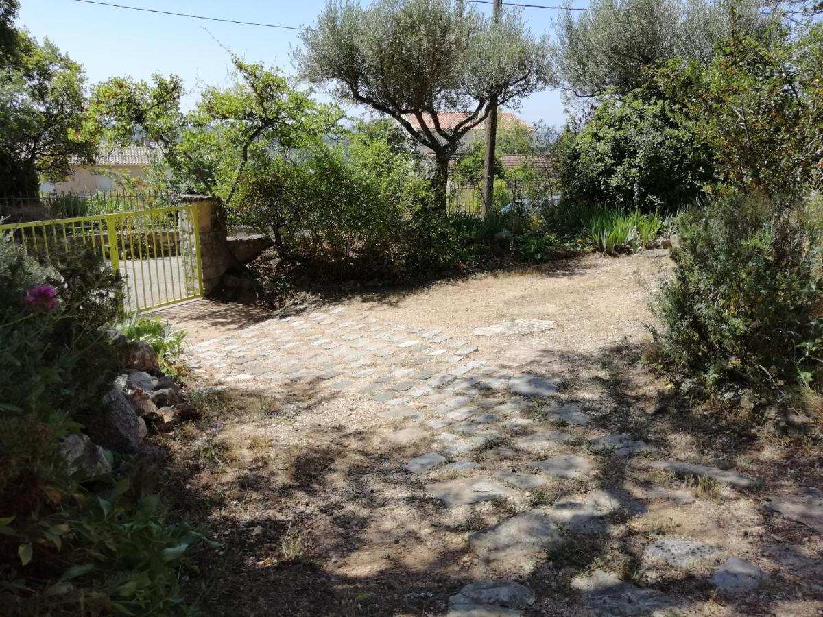 T2 36 m2, RdC de villa, clim, gd jardin clos, animx ok, quartier Mt Faron très calme, wifi, parking Tolone Esterno foto