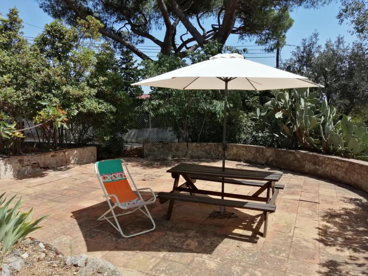 T2 36 m2, RdC de villa, clim, gd jardin clos, animx ok, quartier Mt Faron très calme, wifi, parking Tolone Esterno foto